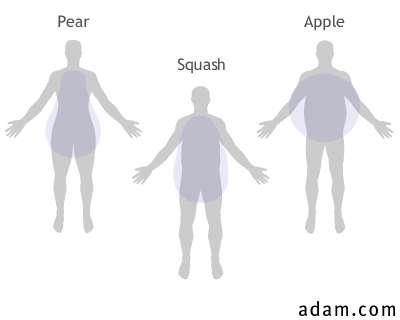 Three Body Shapes